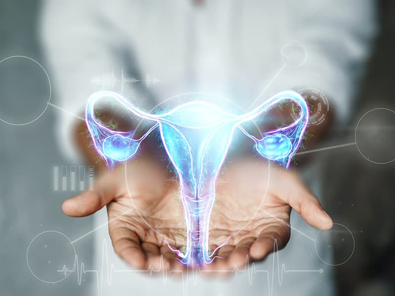 Sutli kokrakli osiyolik ayollar